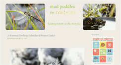 Desktop Screenshot of mudpuddlestometeors.com